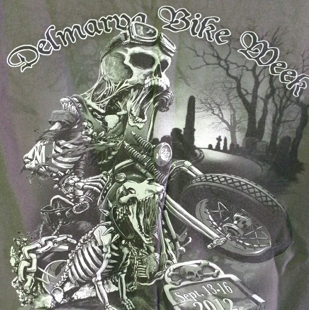 Harley Davidson Biker Enthusiast